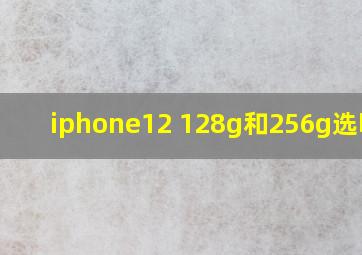 iphone12 128g和256g选哪个