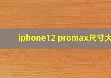 iphone12 promax尺寸大小