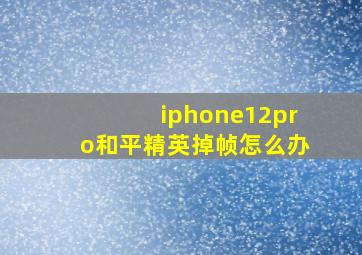 iphone12pro和平精英掉帧怎么办