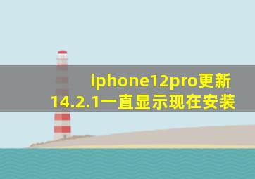 iphone12pro更新14.2.1一直显示现在安装