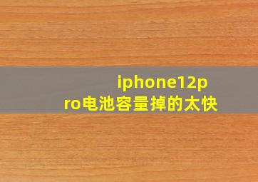 iphone12pro电池容量掉的太快