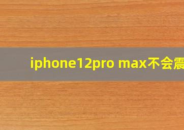 iphone12pro max不会震动