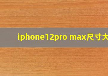 iphone12pro max尺寸大吗