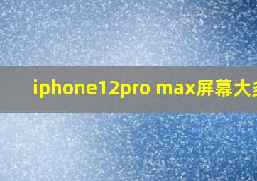 iphone12pro max屏幕大多少