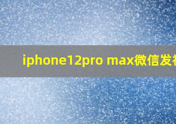 iphone12pro max微信发视频