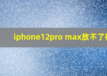 iphone12pro max放不了视频