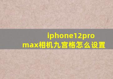 iphone12pro max相机九宫格怎么设置