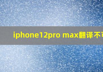 iphone12pro max翻译不可用