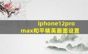 iphone12promax和平精英画面设置