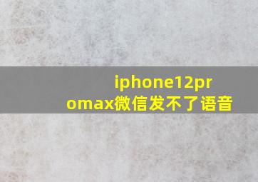 iphone12promax微信发不了语音