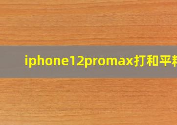 iphone12promax打和平精英