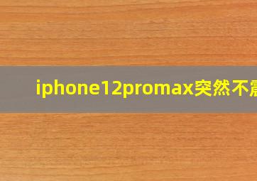 iphone12promax突然不震动