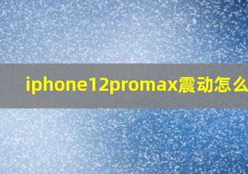 iphone12promax震动怎么设置