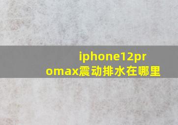 iphone12promax震动排水在哪里