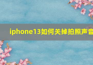 iphone13如何关掉拍照声音