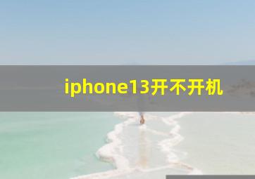 iphone13开不开机