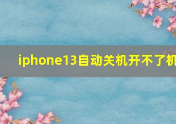 iphone13自动关机开不了机