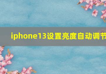 iphone13设置亮度自动调节