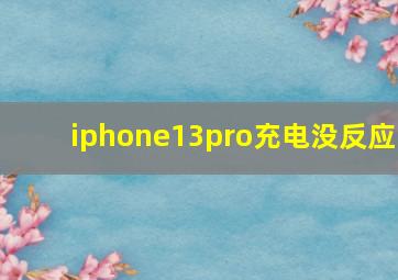 iphone13pro充电没反应