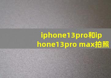 iphone13pro和iphone13pro max拍照