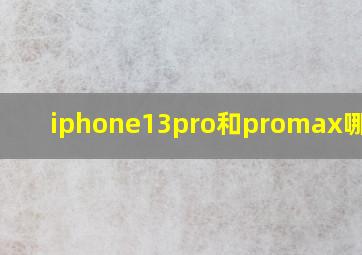 iphone13pro和promax哪个好