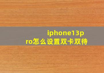 iphone13pro怎么设置双卡双待