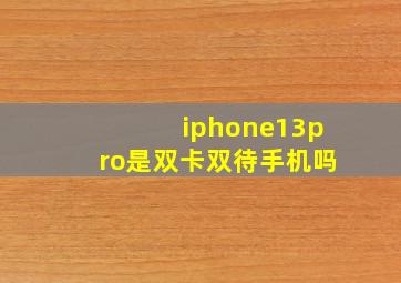 iphone13pro是双卡双待手机吗