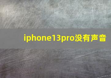 iphone13pro没有声音