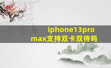 iphone13pro max支持双卡双待吗