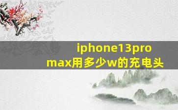 iphone13promax用多少w的充电头