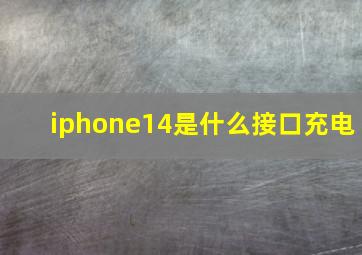 iphone14是什么接口充电