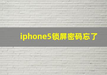 iphone5锁屏密码忘了