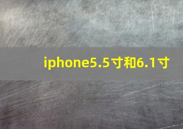 iphone5.5寸和6.1寸