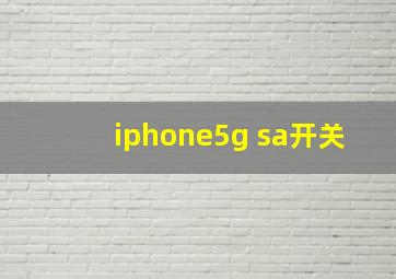 iphone5g sa开关