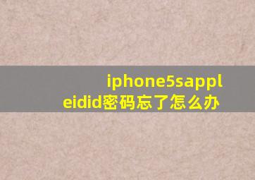 iphone5sappleidid密码忘了怎么办