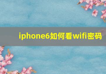 iphone6如何看wifi密码