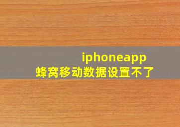 iphoneapp蜂窝移动数据设置不了