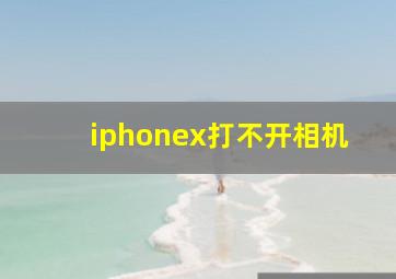 iphonex打不开相机