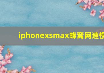 iphonexsmax蜂窝网速慢