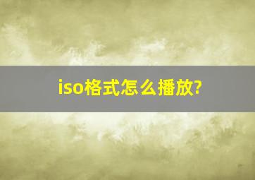 iso格式怎么播放?