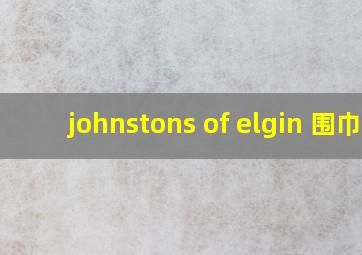 johnstons of elgin 围巾