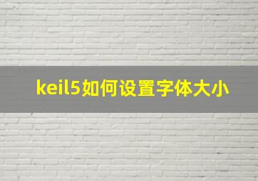 keil5如何设置字体大小