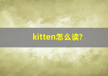 kitten怎么读?