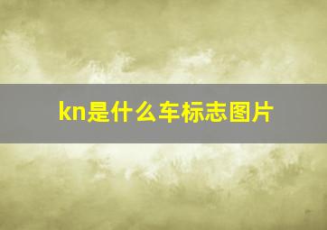 kn是什么车标志图片