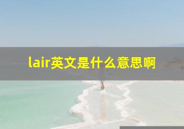 lair英文是什么意思啊