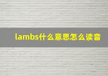 lambs什么意思怎么读音