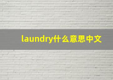 laundry什么意思中文