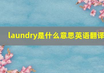 laundry是什么意思英语翻译