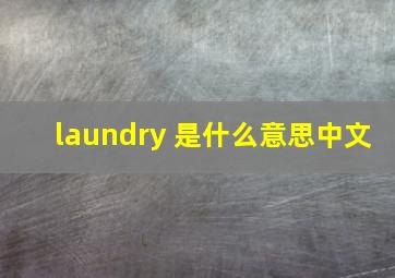 laundry 是什么意思中文