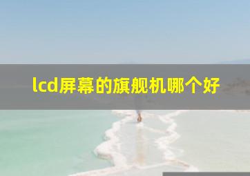 lcd屏幕的旗舰机哪个好